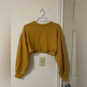 cropped sweatshirt